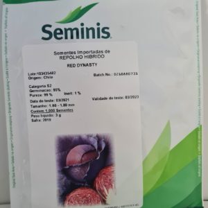 SEMENTE REPOLHO HIBRIDO RED DINASTY SEMINIS 1.000